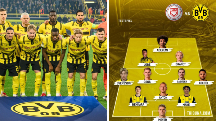 teilnehmer: bvb spiele